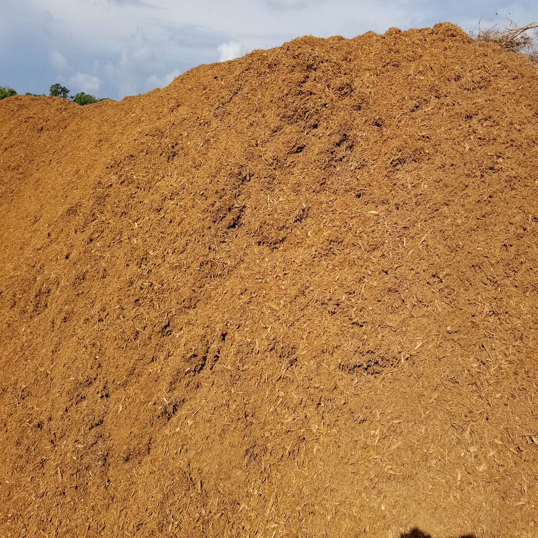 Organic Mulch Delivery near Tampa Bulk Tampa