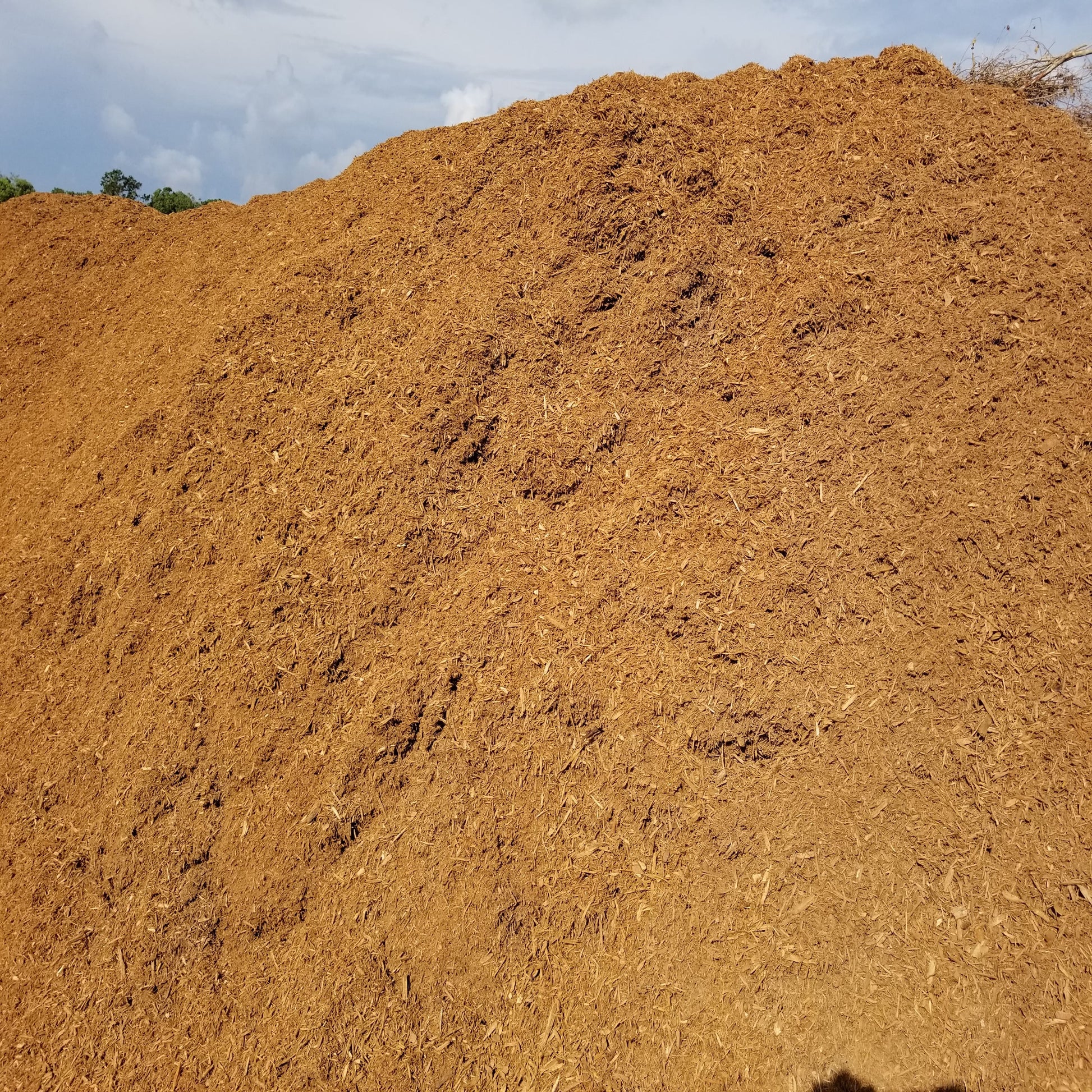 Mulch fines for sale, small mulch, natural organic mulch for sale delivered.